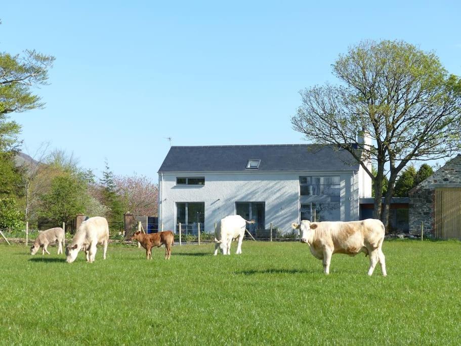 Barn Lane @ Drumagosker Rural Retreats Ardmore Exterior photo